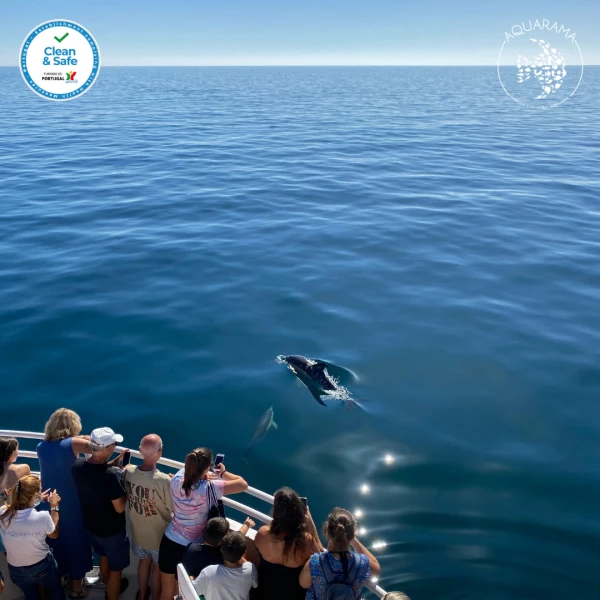 Daily Routes - #aquaramasesimbra